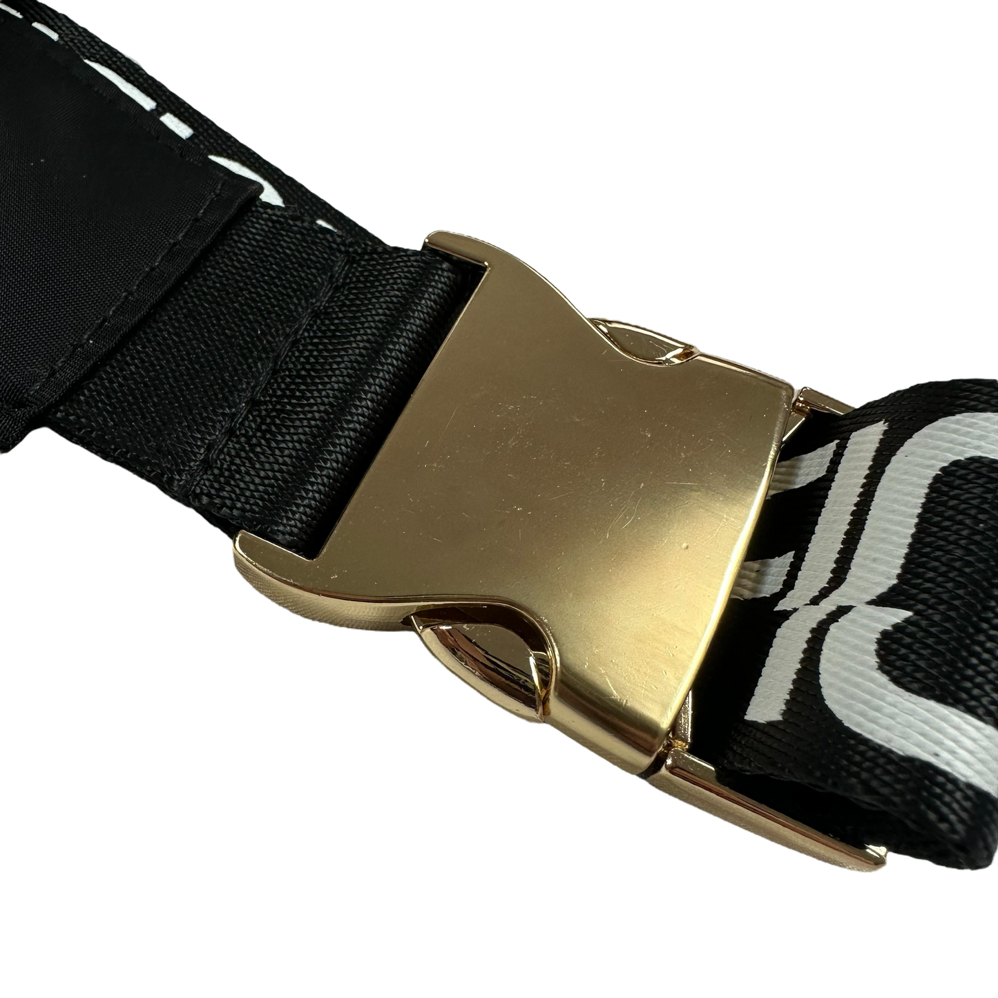 Belt Bag